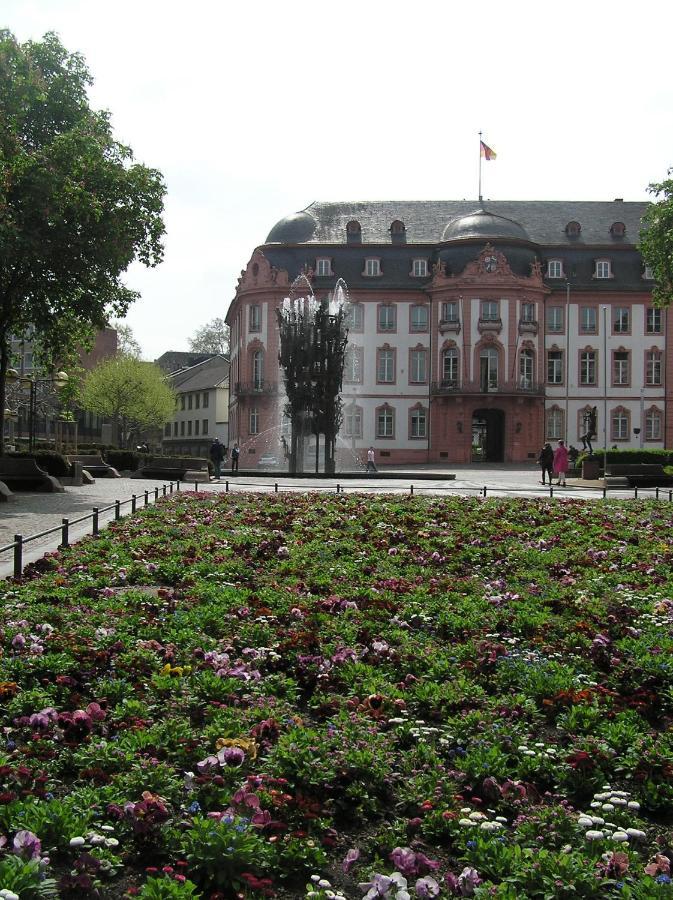 Riesling - Helle Und Grosszuegige Wohnung Mit Guter Anbindung Maguncia Exterior foto